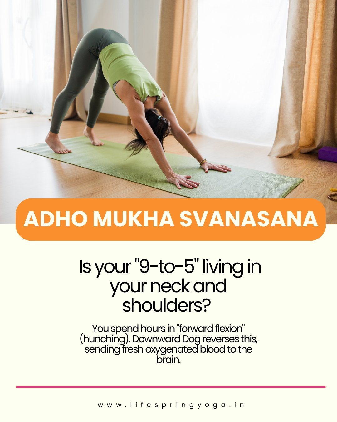 GMB local ranking map pack